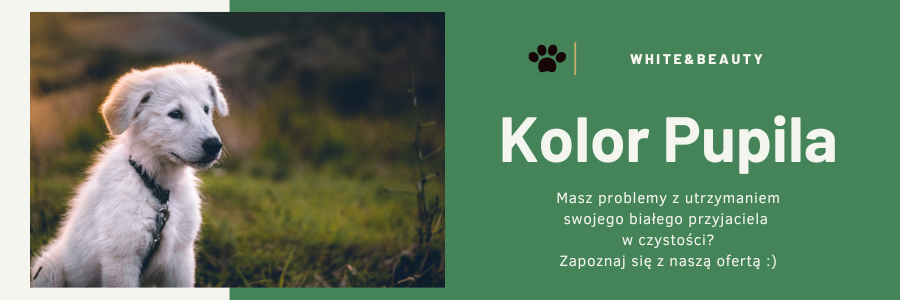 Kolor Pupila